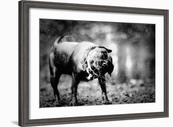 A Small Dog-Clive Nolan-Framed Photographic Print