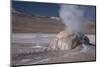 A Small Geothermal Fumarole Emitting Steam at El Tatio Geyser-Mallorie Ostrowitz-Mounted Photographic Print