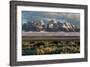 A Small Herd Of Bison Grazing Below The Teton Mountains In Jackson Hole. Grand Teton NP, Wyoming-Mike Cavaroc-Framed Photographic Print