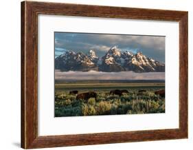 A Small Herd Of Bison Grazing Below The Teton Mountains In Jackson Hole. Grand Teton NP, Wyoming-Mike Cavaroc-Framed Photographic Print