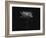 A Small Solitary Tree-Henriette Lund Mackey-Framed Photographic Print