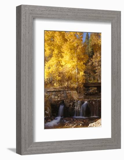 A Small Stream Cascades over a Rock Dam Amid Fall Aspens in the Sierra-John Alves-Framed Photographic Print