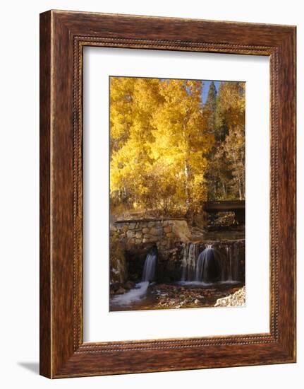 A Small Stream Cascades over a Rock Dam Amid Fall Aspens in the Sierra-John Alves-Framed Photographic Print