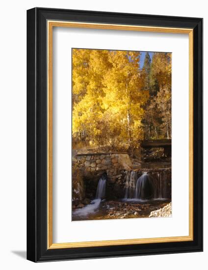 A Small Stream Cascades over a Rock Dam Amid Fall Aspens in the Sierra-John Alves-Framed Photographic Print