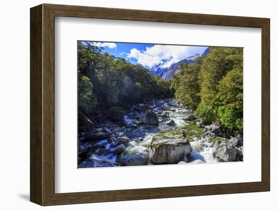 A Small Stream Near Milford Sound on the South Island of New Zealand-Paul Dymond-Framed Photographic Print