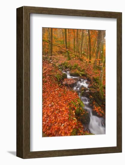 A Small Stream Running Through Charles Wood-Julian Elliott-Framed Photographic Print