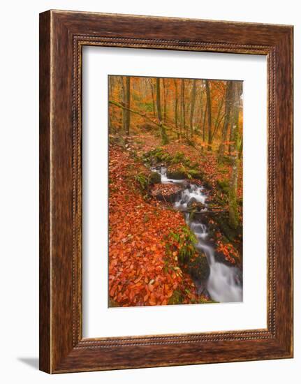 A Small Stream Running Through Charles Wood-Julian Elliott-Framed Photographic Print