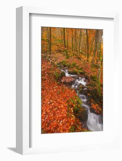 A Small Stream Running Through Charles Wood-Julian Elliott-Framed Photographic Print