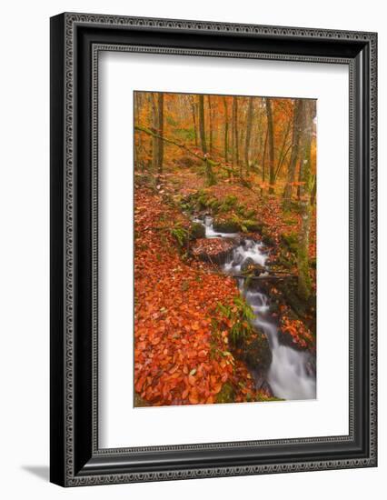 A Small Stream Running Through Charles Wood-Julian Elliott-Framed Photographic Print