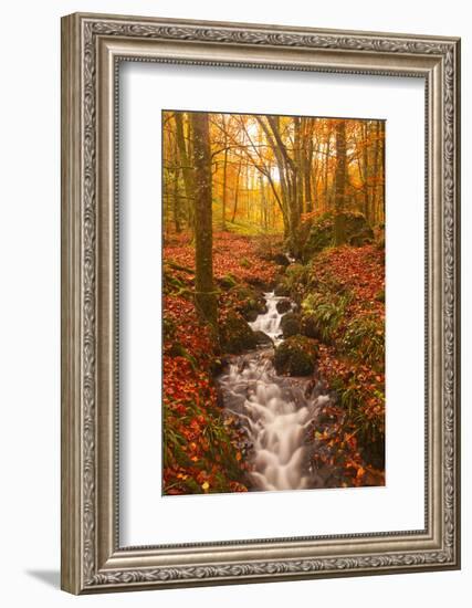 A Small Stream Running Through Charles Wood-Julian Elliott-Framed Photographic Print