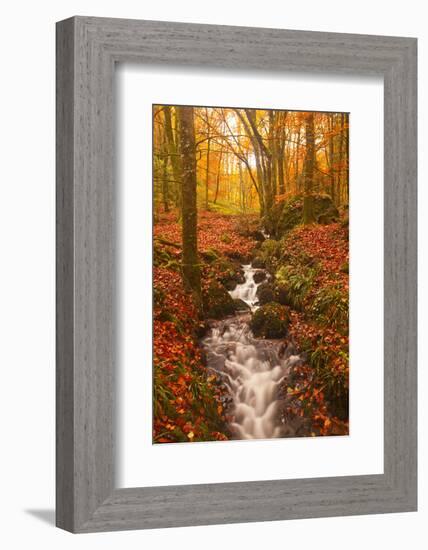 A Small Stream Running Through Charles Wood-Julian Elliott-Framed Photographic Print