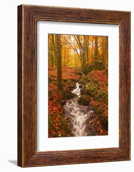 A Small Stream Running Through Charles Wood-Julian Elliott-Framed Photographic Print