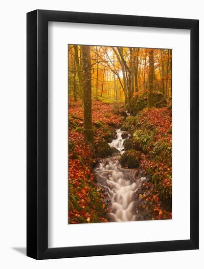 A Small Stream Running Through Charles Wood-Julian Elliott-Framed Photographic Print