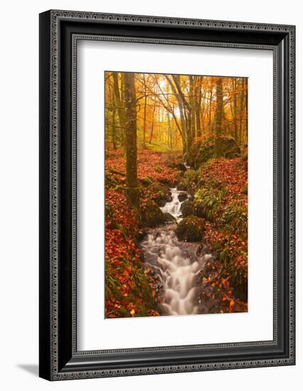 A Small Stream Running Through Charles Wood-Julian Elliott-Framed Photographic Print