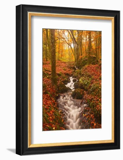 A Small Stream Running Through Charles Wood-Julian Elliott-Framed Photographic Print