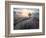 A small tree at the end of a lavender line in a field at sunset with clouds in the sky-Francesco Fanti-Framed Photographic Print