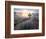 A small tree at the end of a lavender line in a field at sunset with clouds in the sky-Francesco Fanti-Framed Photographic Print