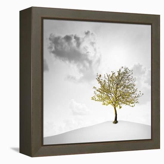 A Small Tree with Yellow Leaves on a White Background with Clouds-Luis Beltran-Framed Premier Image Canvas