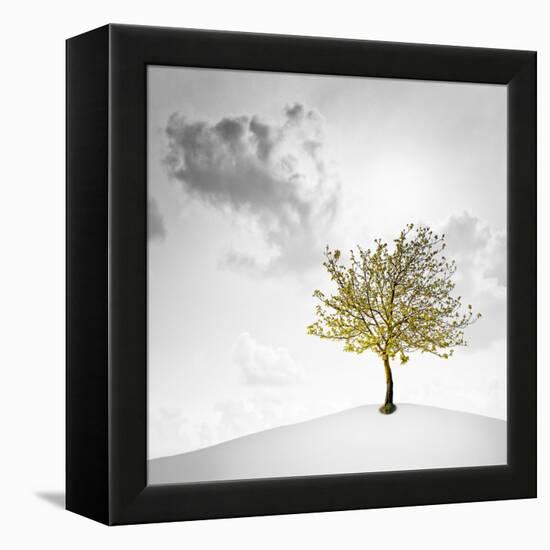 A Small Tree with Yellow Leaves on a White Background with Clouds-Luis Beltran-Framed Premier Image Canvas