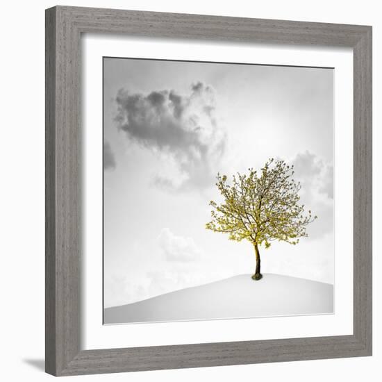 A Small Tree with Yellow Leaves on a White Background with Clouds-Luis Beltran-Framed Photographic Print