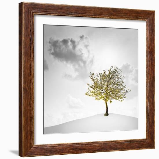 A Small Tree with Yellow Leaves on a White Background with Clouds-Luis Beltran-Framed Photographic Print