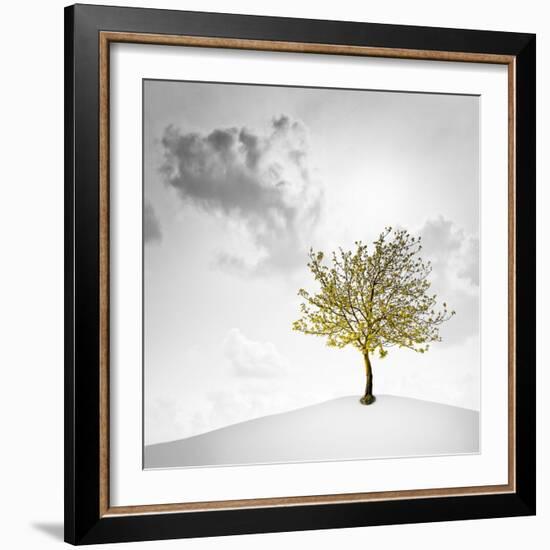 A Small Tree with Yellow Leaves on a White Background with Clouds-Luis Beltran-Framed Photographic Print