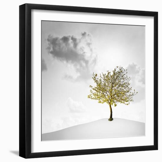 A Small Tree with Yellow Leaves on a White Background with Clouds-Luis Beltran-Framed Photographic Print