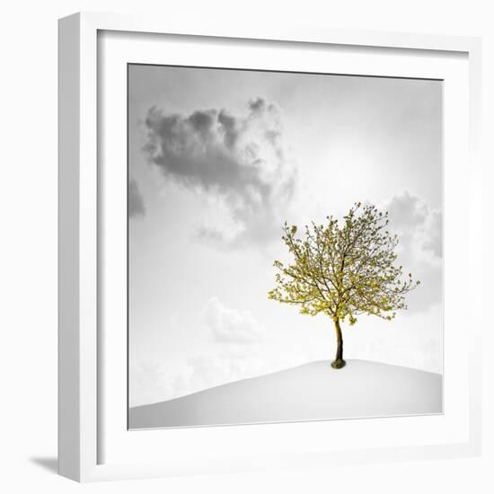 A Small Tree with Yellow Leaves on a White Background with Clouds-Luis Beltran-Framed Photographic Print