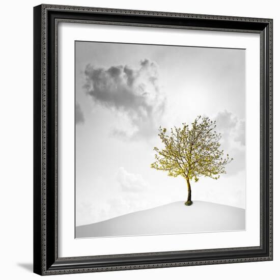 A Small Tree with Yellow Leaves on a White Background with Clouds-Luis Beltran-Framed Photographic Print