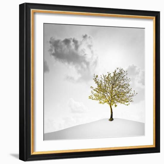 A Small Tree with Yellow Leaves on a White Background with Clouds-Luis Beltran-Framed Photographic Print