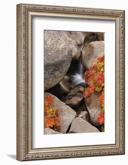 A Small Waterfall , California's Sierra Nevada Mountain Range-John Alves-Framed Photographic Print