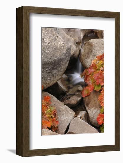 A Small Waterfall , California's Sierra Nevada Mountain Range-John Alves-Framed Photographic Print