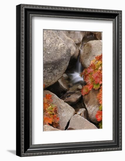 A Small Waterfall , California's Sierra Nevada Mountain Range-John Alves-Framed Photographic Print