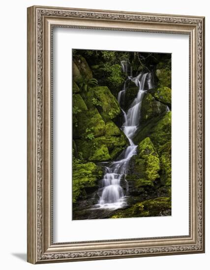 A small waterfall flows down mossy rocks, Washington.-Art Wolfe-Framed Photographic Print