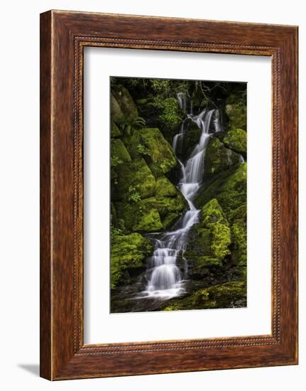 A small waterfall flows down mossy rocks, Washington.-Art Wolfe-Framed Photographic Print