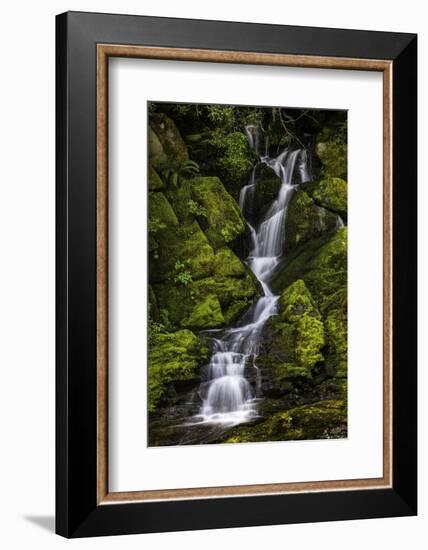 A small waterfall flows down mossy rocks, Washington.-Art Wolfe-Framed Photographic Print