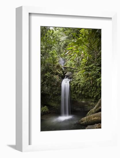 A Small Waterfall in El Yunque National Forest, Puerto Rico-Neil Losin-Framed Photographic Print