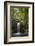 A Small Waterfall in El Yunque National Forest, Puerto Rico-Neil Losin-Framed Photographic Print