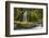 A small waterfall pours into the Ohanapecosh River, Washington.-Art Wolfe-Framed Photographic Print