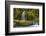 A small waterfall pours into the Ohanapecosh River, Washington.-Art Wolfe-Framed Photographic Print