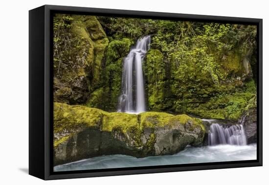 A small waterfall pours into the Ohanapecosh River, Washington.-Art Wolfe-Framed Premier Image Canvas