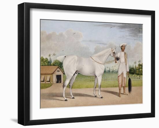 A Small White Stallion Standing with a Groom Holding a Chauri-Shaikh Muhammad Amir Of Karraya-Framed Giclee Print