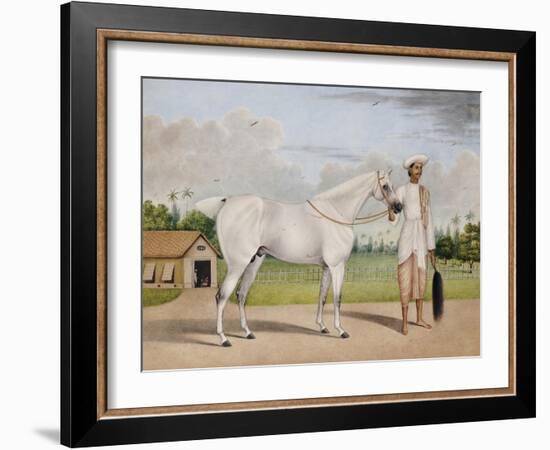 A Small White Stallion Standing with a Groom Holding a Chauri-Shaikh Muhammad Amir Of Karraya-Framed Giclee Print