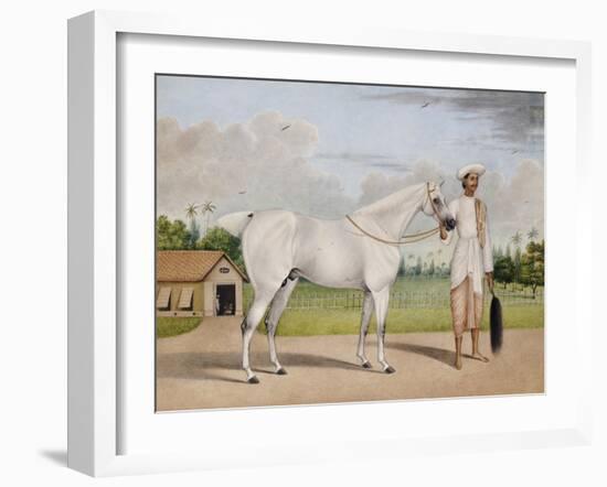 A Small White Stallion Standing with a Groom Holding a Chauri-Shaikh Muhammad Amir Of Karraya-Framed Giclee Print