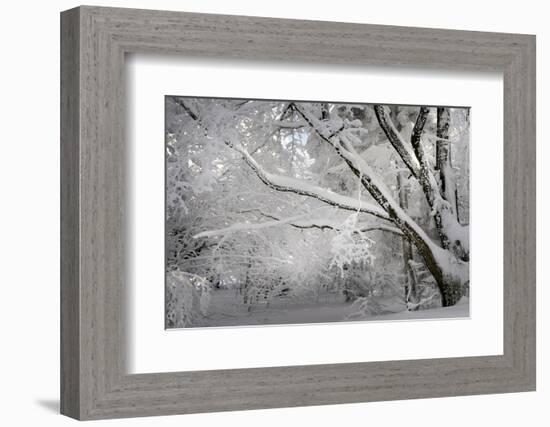 A Smooth One-Philippe Sainte-Laudy-Framed Photographic Print