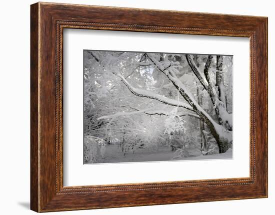 A Smooth One-Philippe Sainte-Laudy-Framed Photographic Print