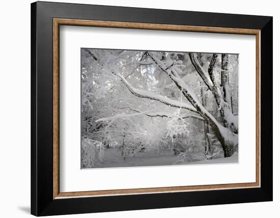 A Smooth One-Philippe Sainte-Laudy-Framed Photographic Print