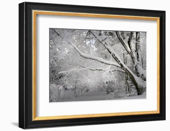 A Smooth One-Philippe Sainte-Laudy-Framed Photographic Print