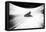 A Smoother Road-Paulo Abrantes-Framed Premier Image Canvas