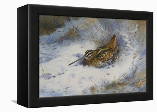 A Snipe in the Snow-Archibald Thorburn-Framed Premier Image Canvas